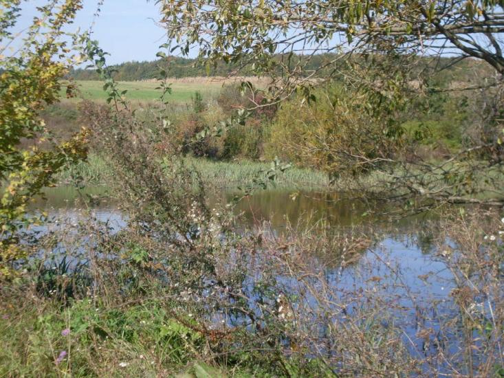 Зятківці з panoramio.com - Зятківці