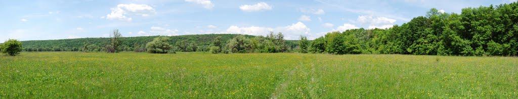 Мохнач з panoramio.com - Мохнач