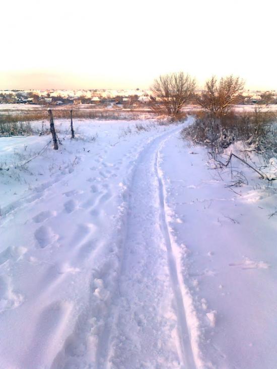 Новгородське з panoramio.com - Новгородське