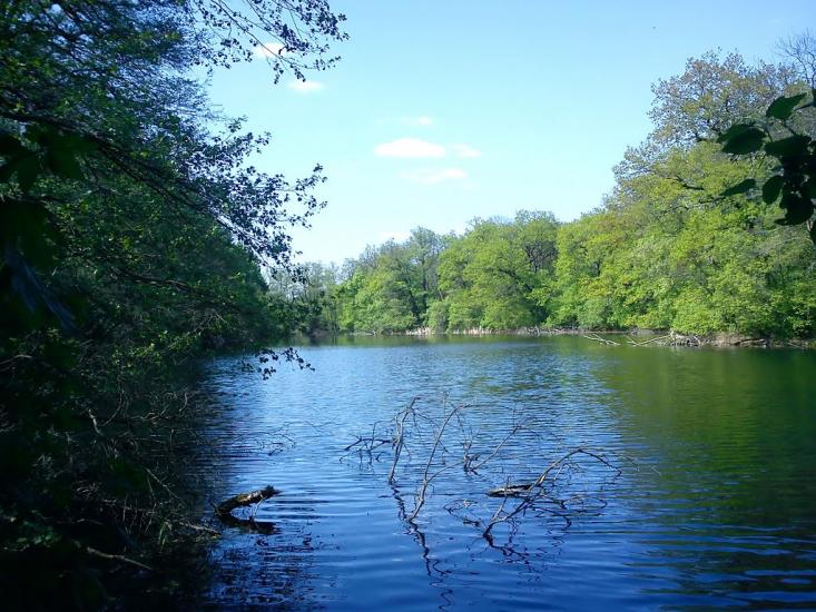 Підлісне з panoramio.com - Pidlisne