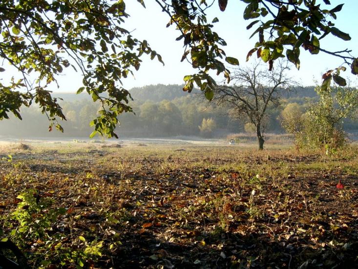 Осіївка з panoramio.com - Осіївка