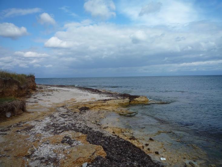 Сніжне з panoramio.com - Снежное