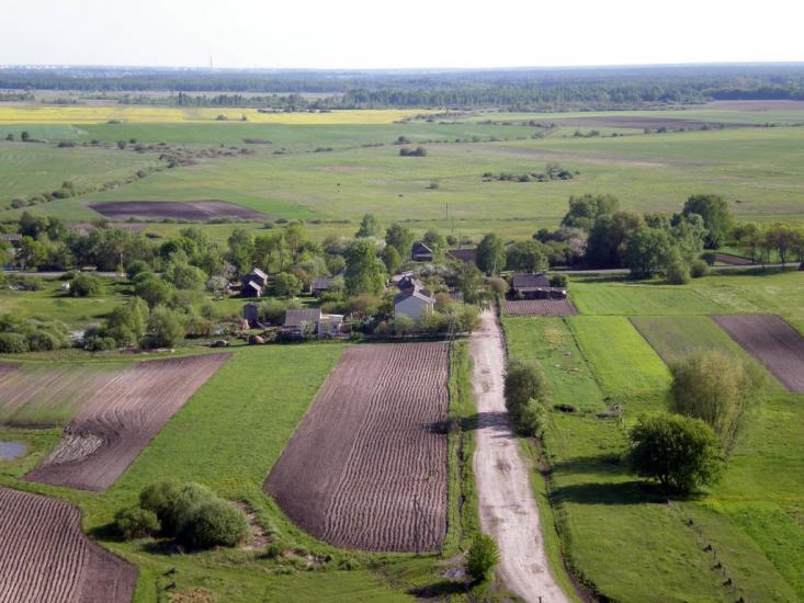 Облапи з panoramio.com - Oblapy