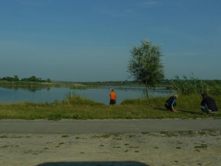 Павлиш з panoramio.com - Павлиш