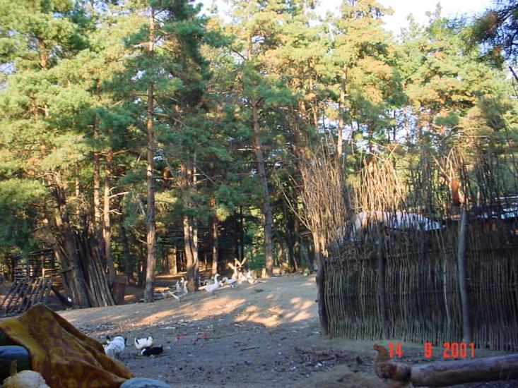 Вітове з panoramio.com - Vitove