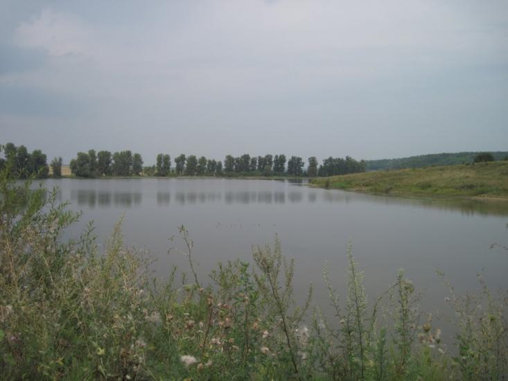 Галузинці з panoramio.com - Galuzyntsi