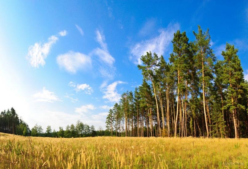 Підлиман з panoramio.com - Підлиман