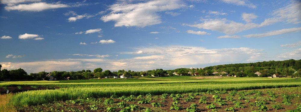 Безбородьки з panoramio.com - Безбородьки