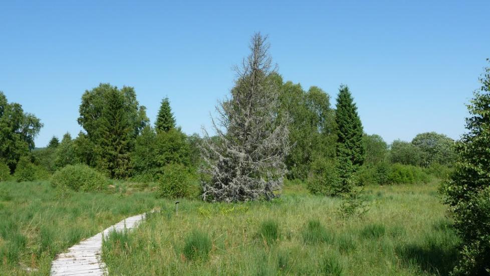Шандровець з panoramio.com - Шандровец