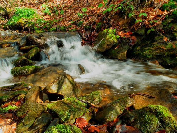 Біласовиця з panoramio.com - Bilasovytsya