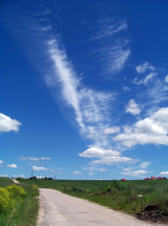 Підгородне з panoramio.com - Подгородное