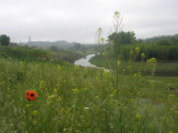 Первозванівка з panoramio.com - Первозвановка