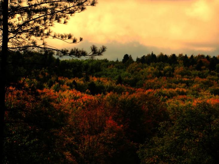 Кибаки з panoramio.com - Кибаки