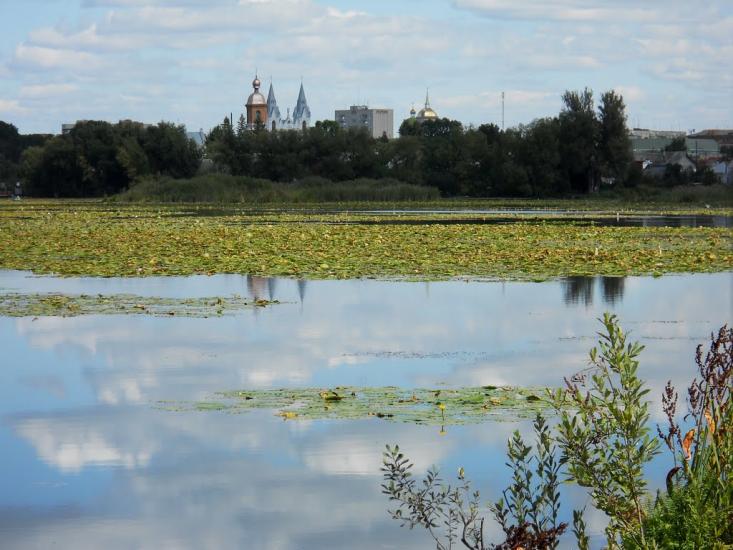 Бар з panoramio.com - Bar