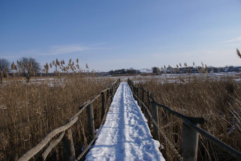 Валове з panoramio.com - Sofiyivka