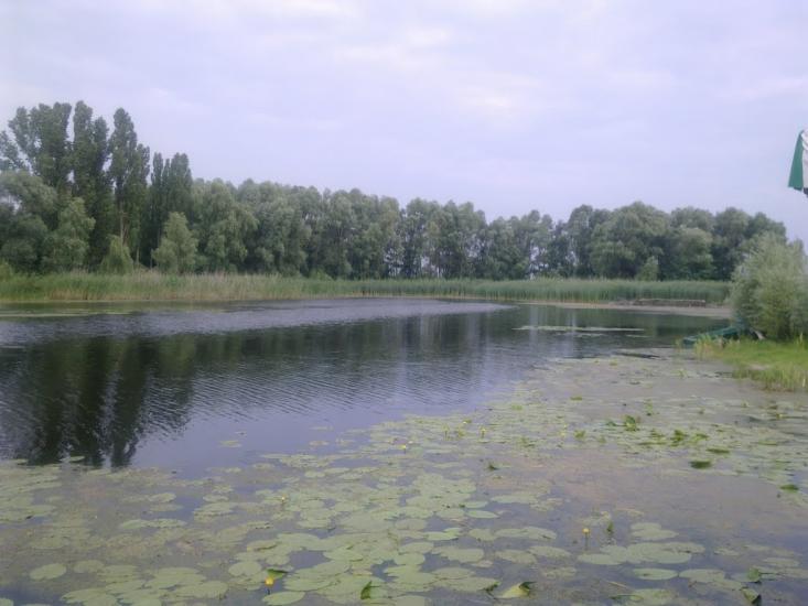 Зазим'я з panoramio.com - Зазим'я