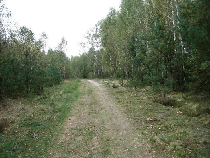 Кропивня з panoramio.com - Kropyvnya
