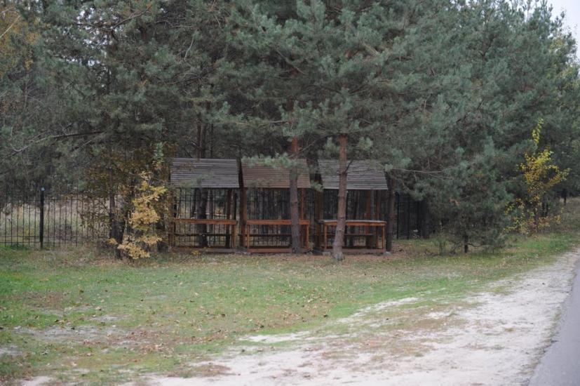 Заріччя з panoramio.com - Заречье