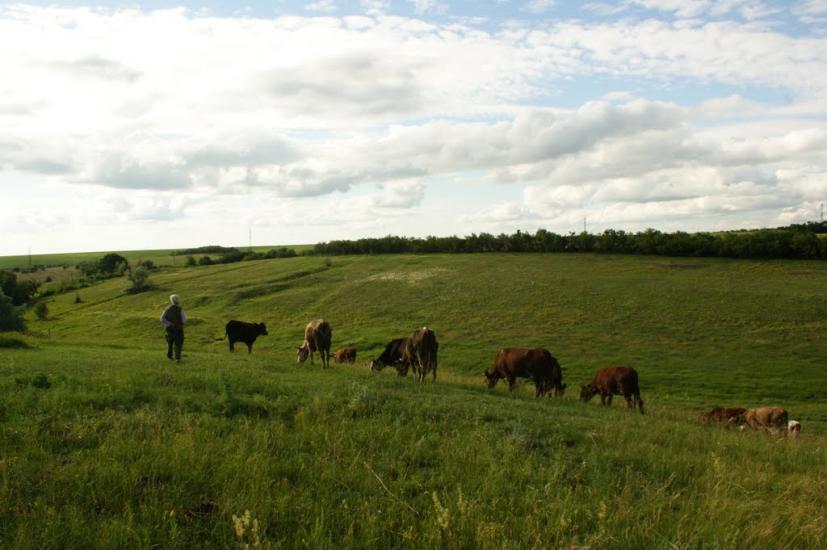 Сад з panoramio.com - Сад