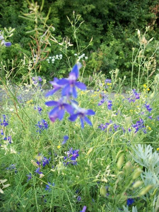 Березники з panoramio.com - Березники