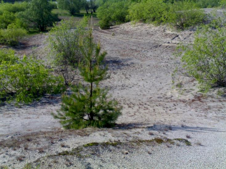 Неданчичі з panoramio.com - Nedanchychi