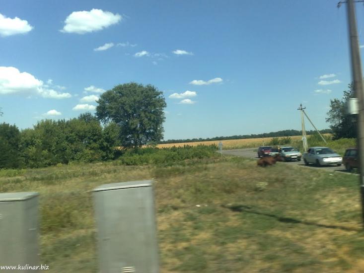 Бурчак з panoramio.com - Бурчак