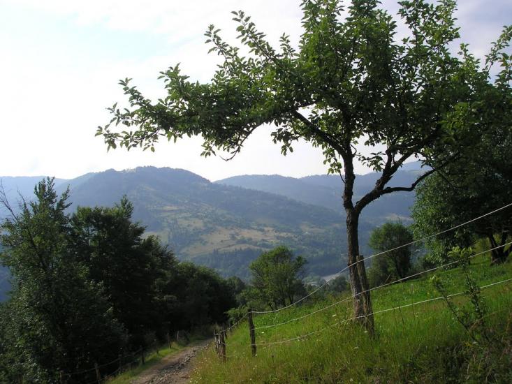 Кваси з panoramio.com - Квасы
