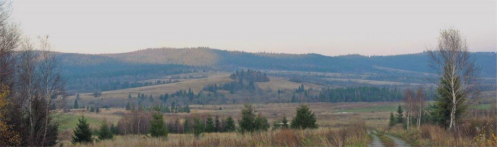 Шандровець з panoramio.com - Шандровец