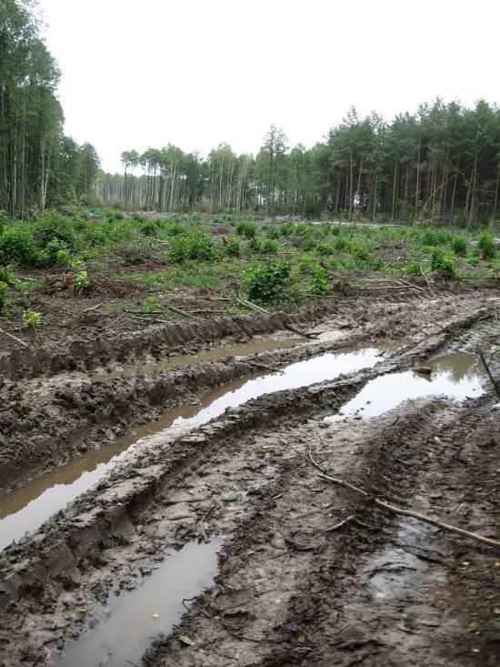 Рудня-Гацьківка з panoramio.com - Рудня-Гацьківка