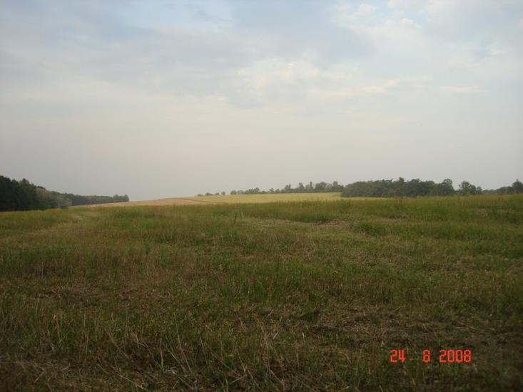 Мліїв з panoramio.com - Млиев