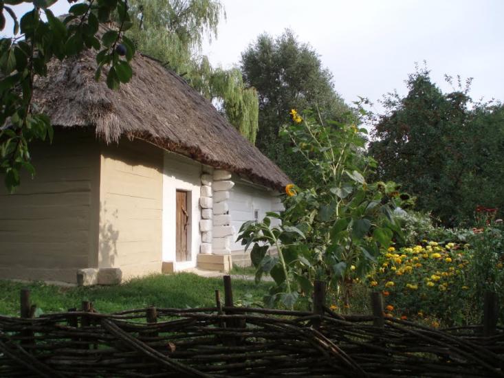 Шевченкове з panoramio.com - Шевченкове
