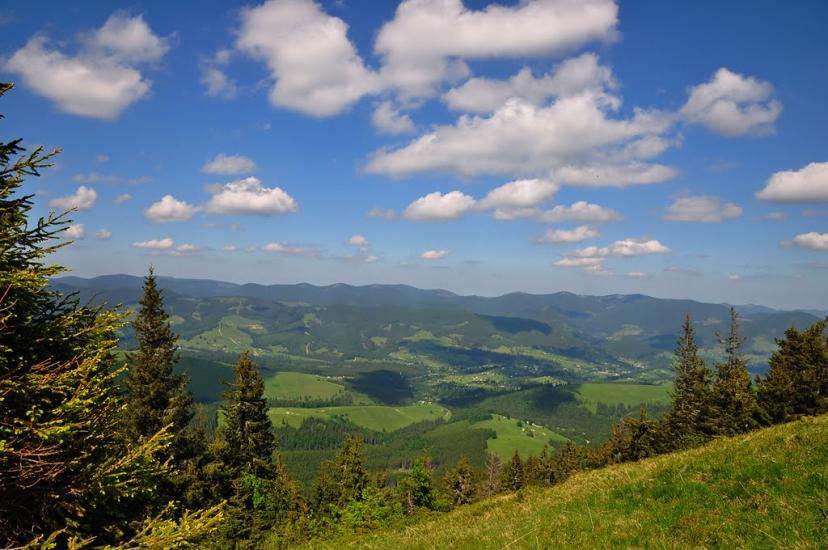 Кривопілля з panoramio.com - Kryvopillya