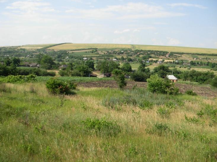 Шимкове з panoramio.com - Шимкове