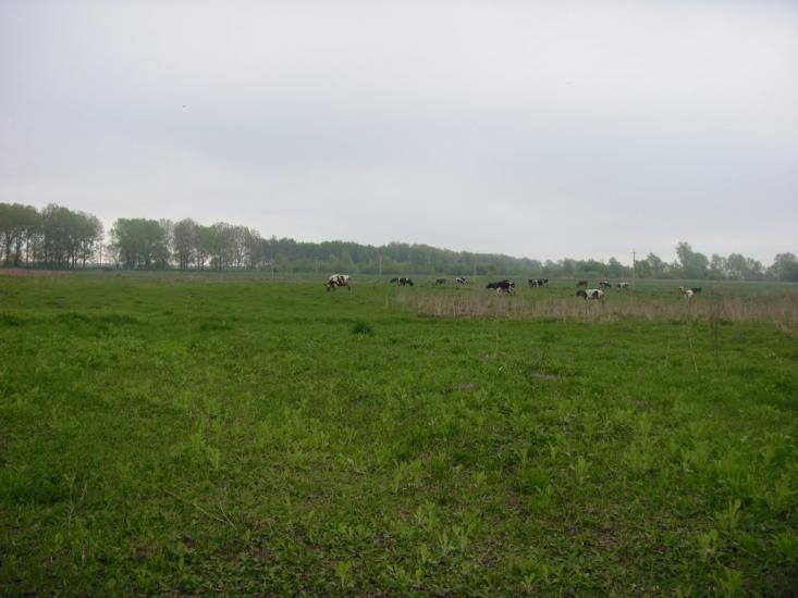 Чмикос з panoramio.com - Чмыкос