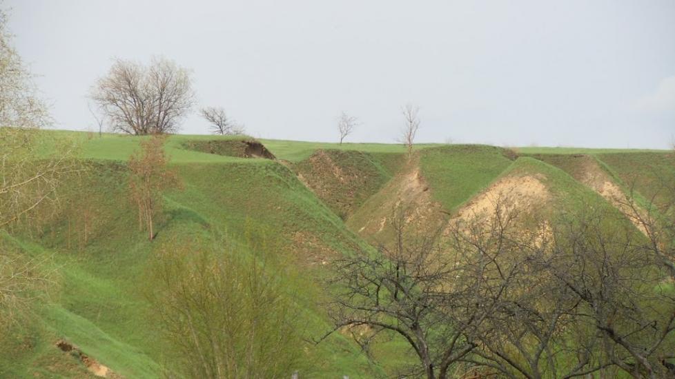 Могриця з panoramio.com - Mogrytsya