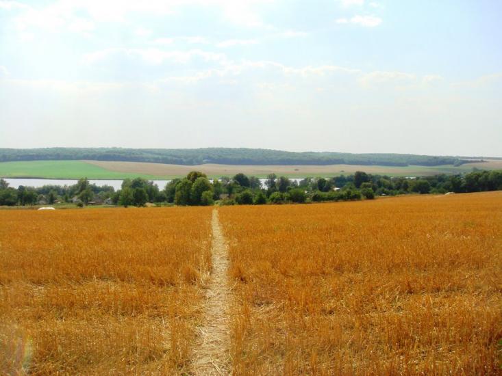 Гопчиця з panoramio.com - Гопчиця