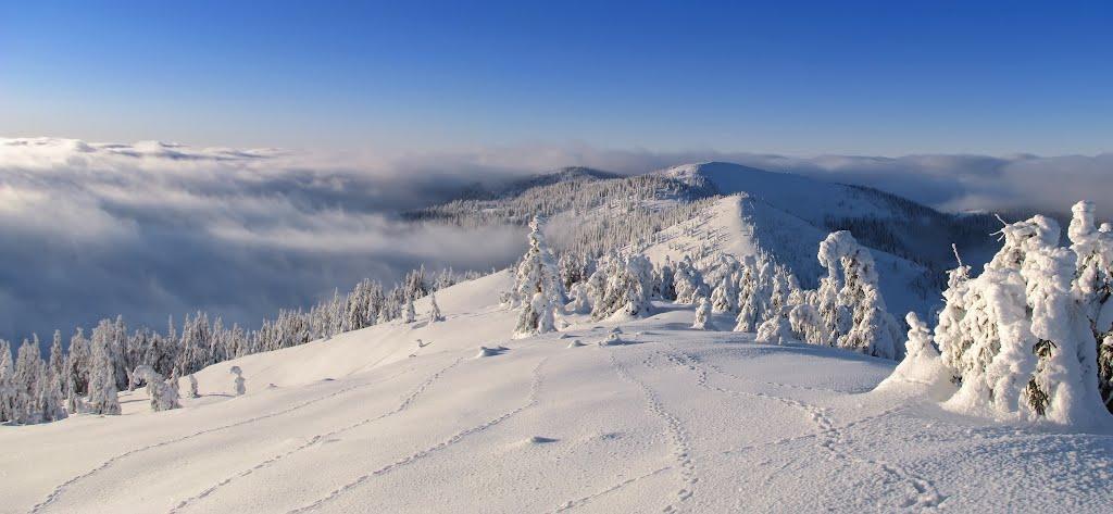 Лопухів з panoramio.com - Лопухов