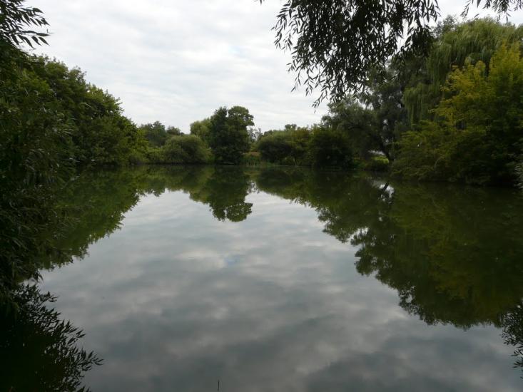 Ічня з panoramio.com - Ichnya