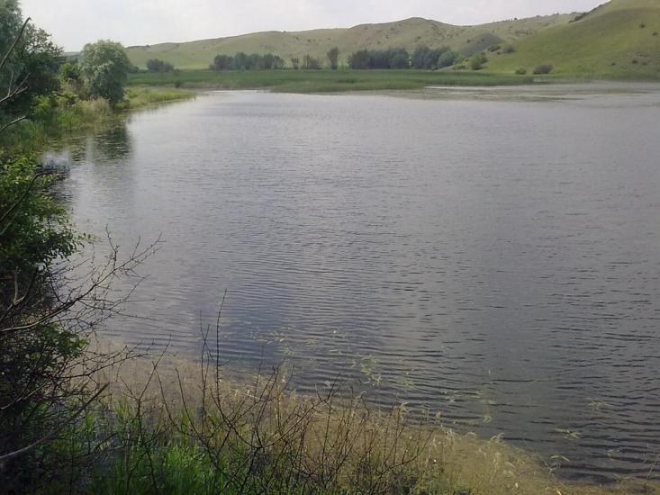 Петро-Миколаївка з panoramio.com - Петро-Николаевка