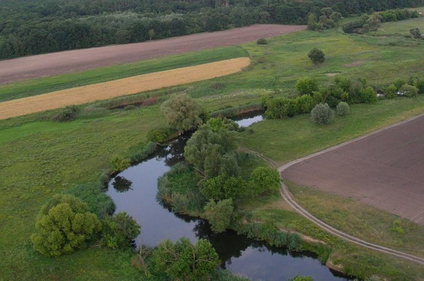 Бушеве з panoramio.com - Busheve
