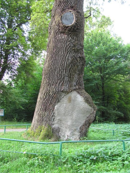 Слободяки з panoramio.com - Слободяки