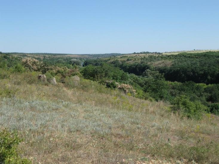 Куріпчине з panoramio.com - Kuripchyne