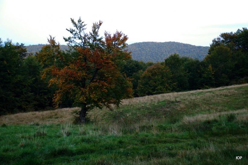 Тюшка з panoramio.com - Тюшка