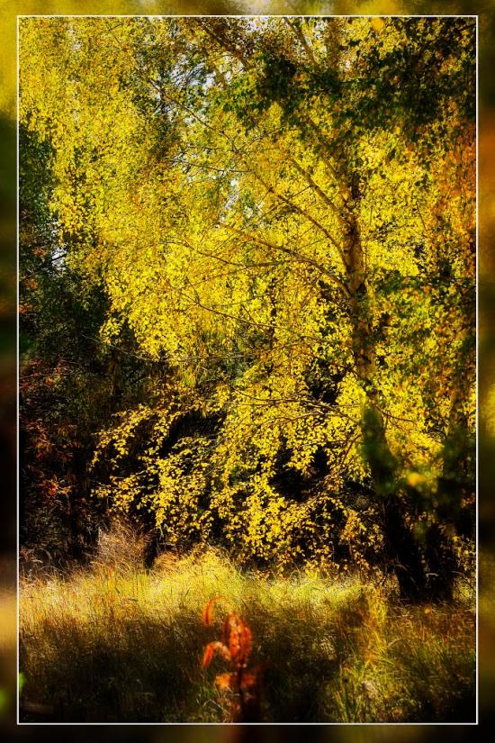 Пологи-Низ з panoramio.com - Пологи-Низ