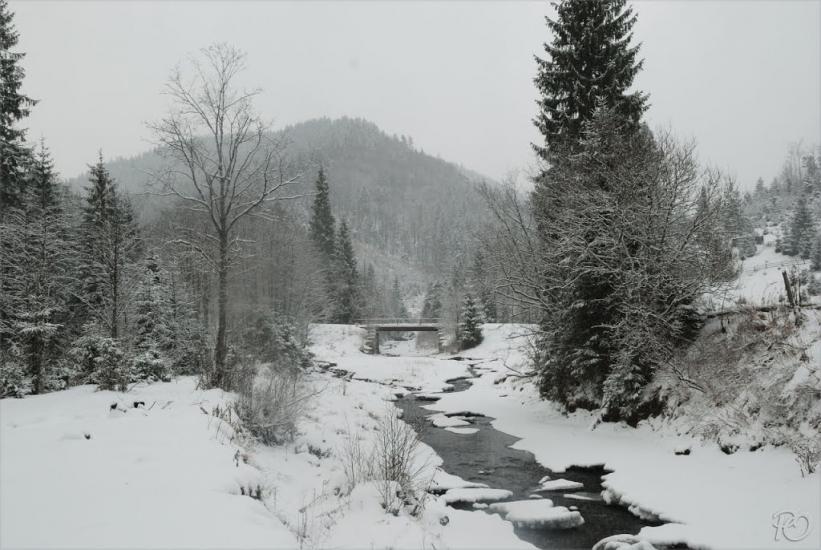Згари з panoramio.com - Згары