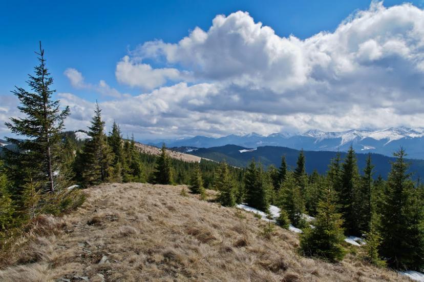 Кривопілля з panoramio.com - Кривопілля