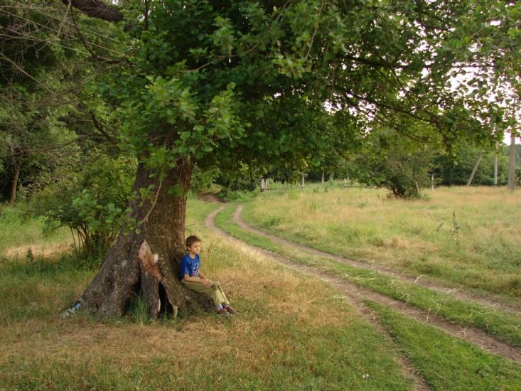 Борова з panoramio.com - Борова