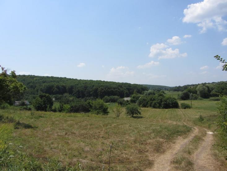 Попівка з panoramio.com - Поповка