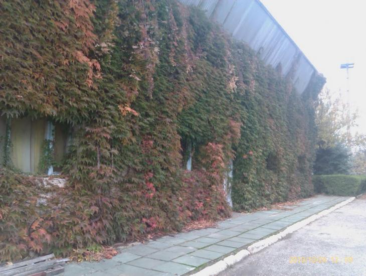 Мар'янівка з panoramio.com - Мар'янівка