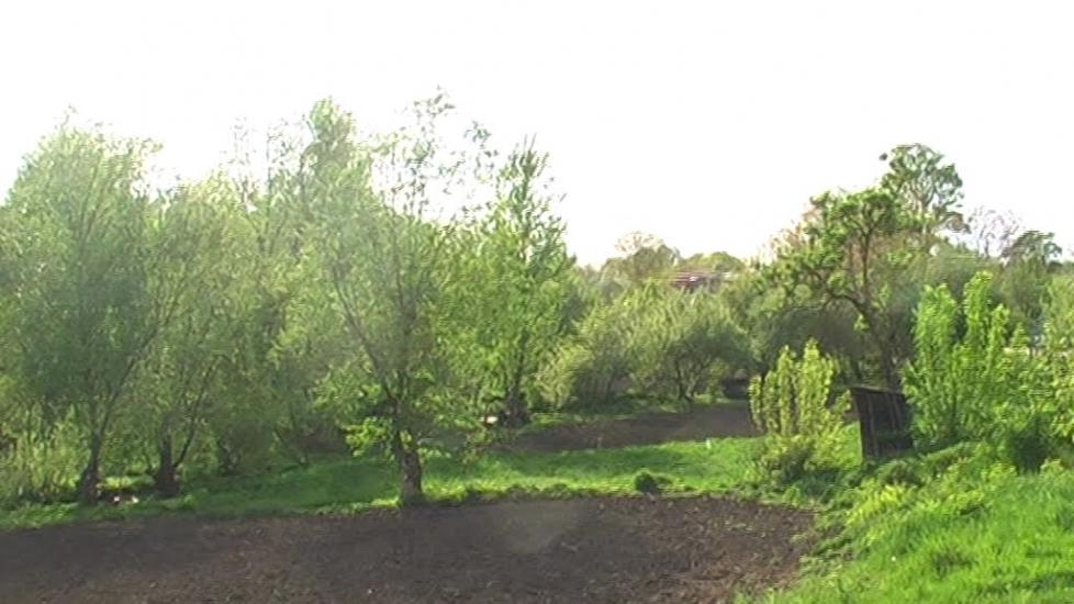 Горошків з panoramio.com - Горошків